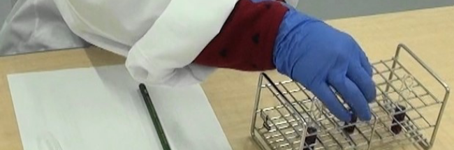 日常生活の中における驚きや実験を通した豊かな体験が、理科の力の礎になります。 理科の実験