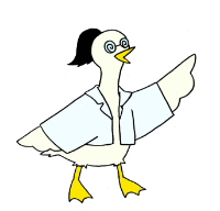 当塾マスコットのやちょう先生です。 やちょう先生